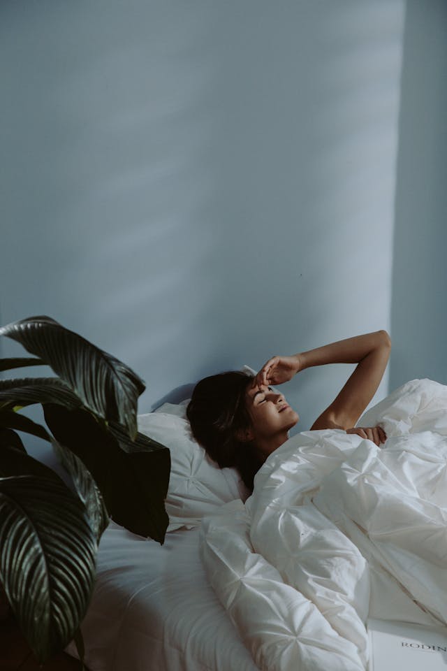 Lave46nzoria calm path